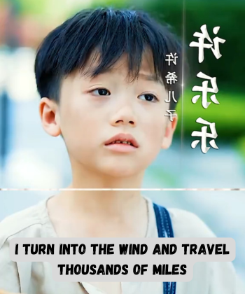 i turn into the wind and travel thousands of miles