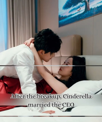 After the breakup, Cinderella married the CEO